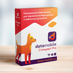 ПО DataMobile, версия Стандарт Pro в Чебоксарах